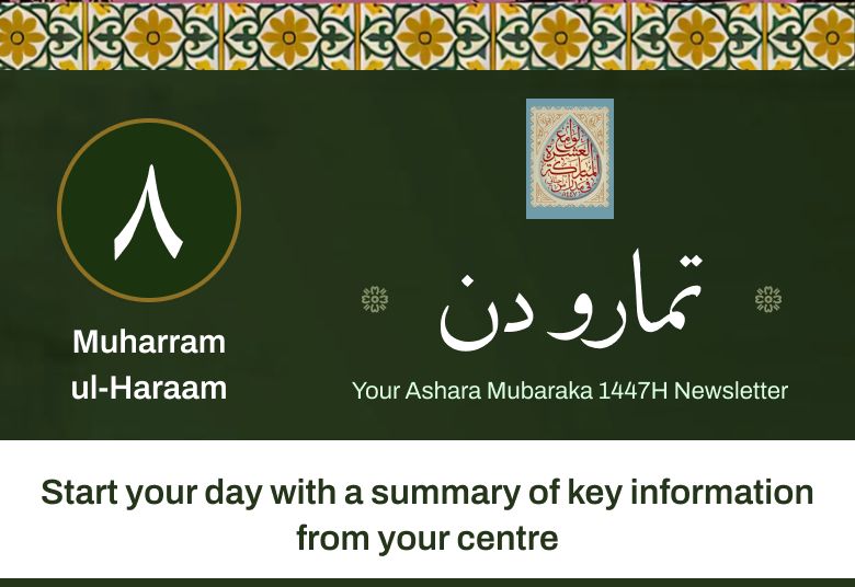 Newsletter 8mi